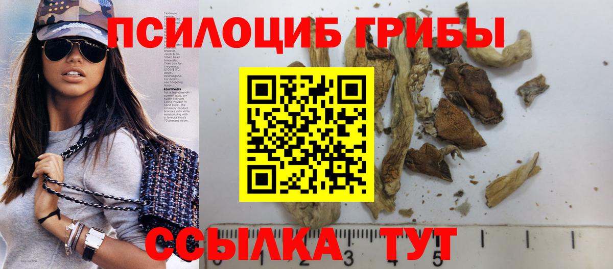Галлюциногенные грибы Magic Shrooms  Вход с VPN  Галлюциногенные грибы Magic Shrooms  Балашиха 